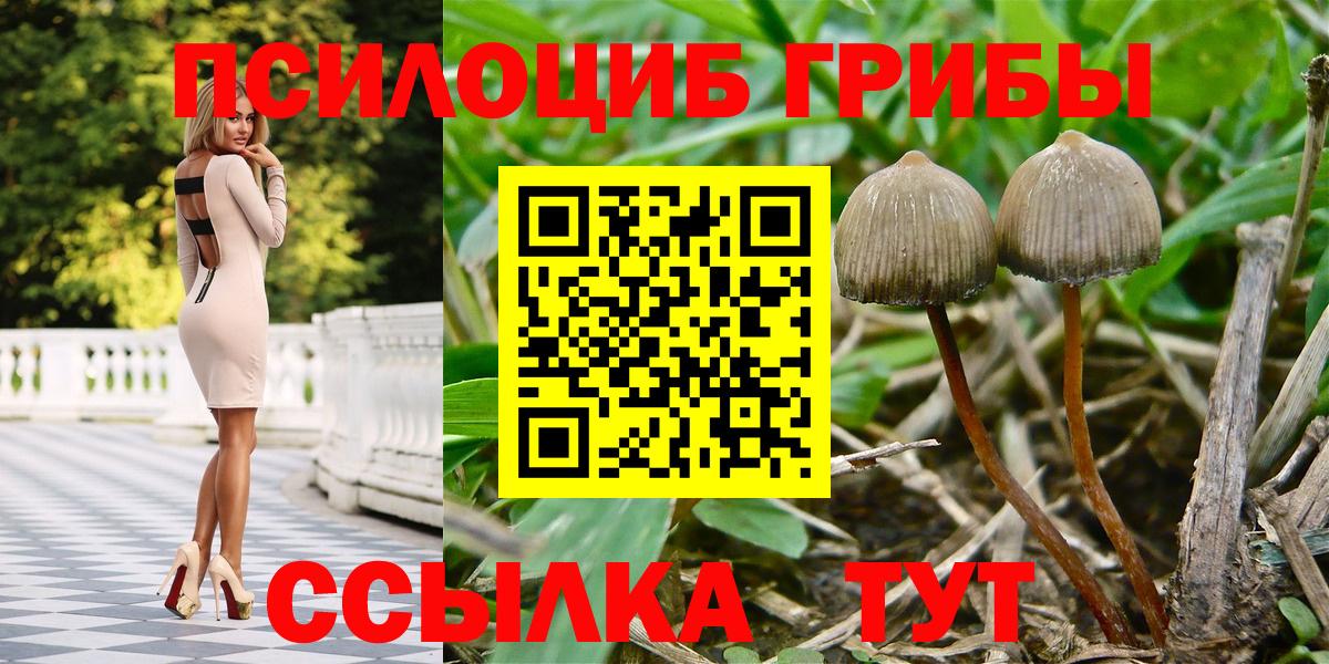 Псилоцибиновые грибы GOLDEN TEACHER Киселёвск
