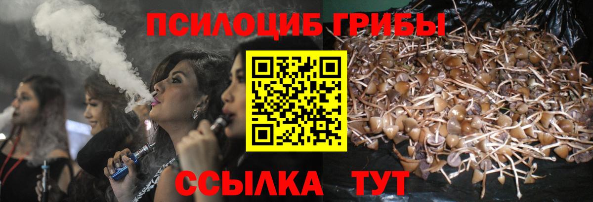 Псилоцибиновые грибы мухоморы  Вход с VPN  Киселёвск 
